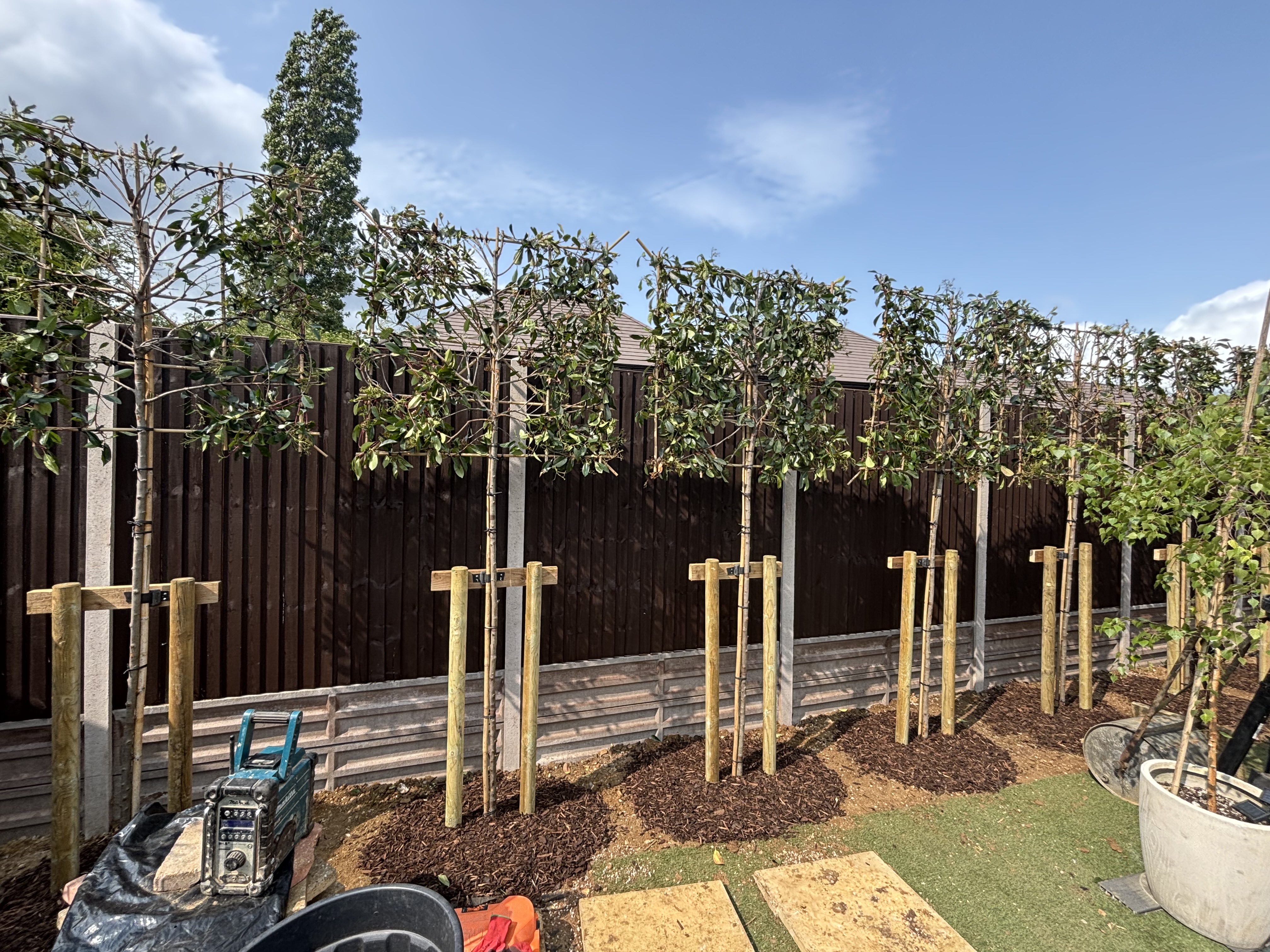 Finished fencing and landscaping project by Holdways